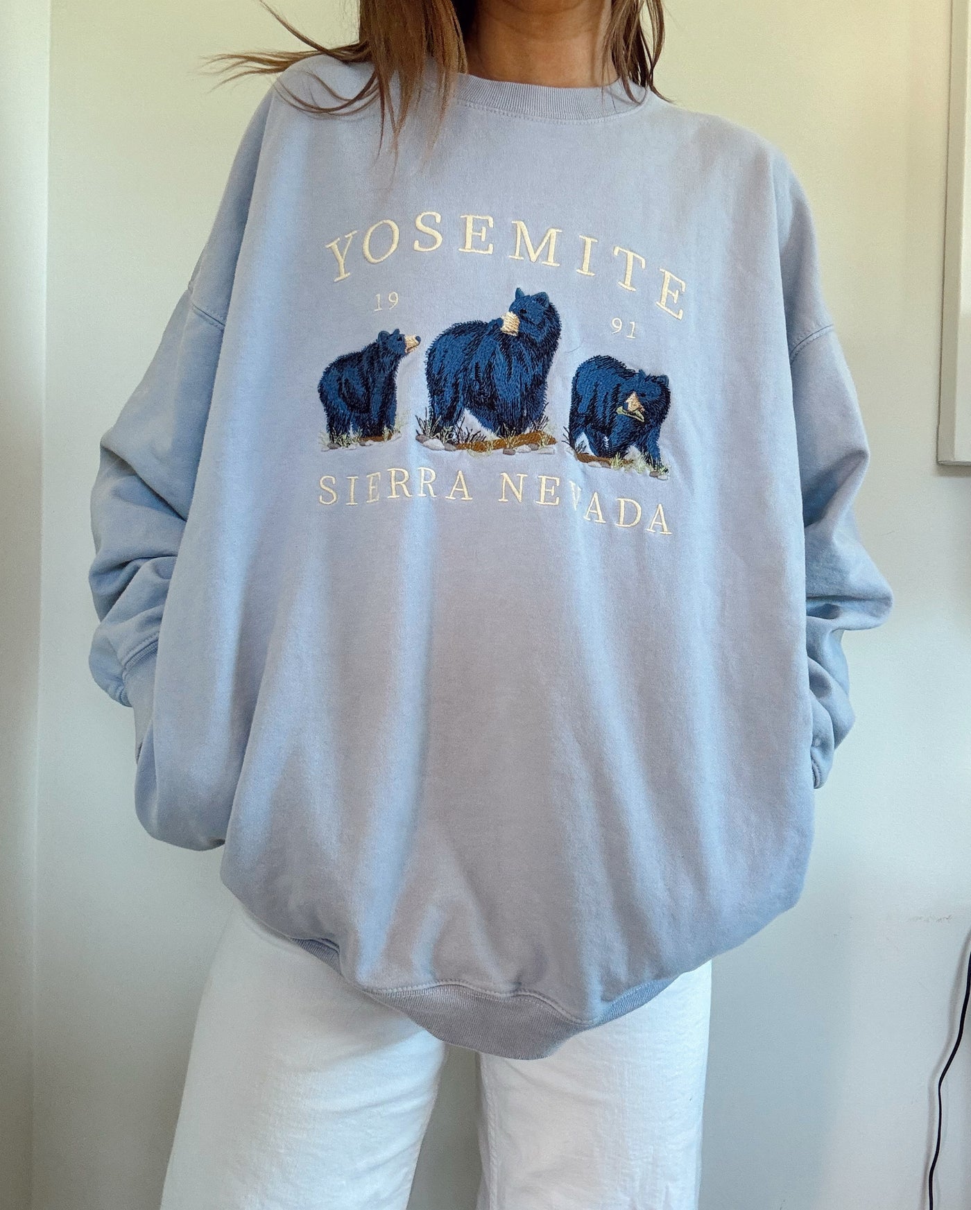 Brandy Melville Yosemite bear crewneck
