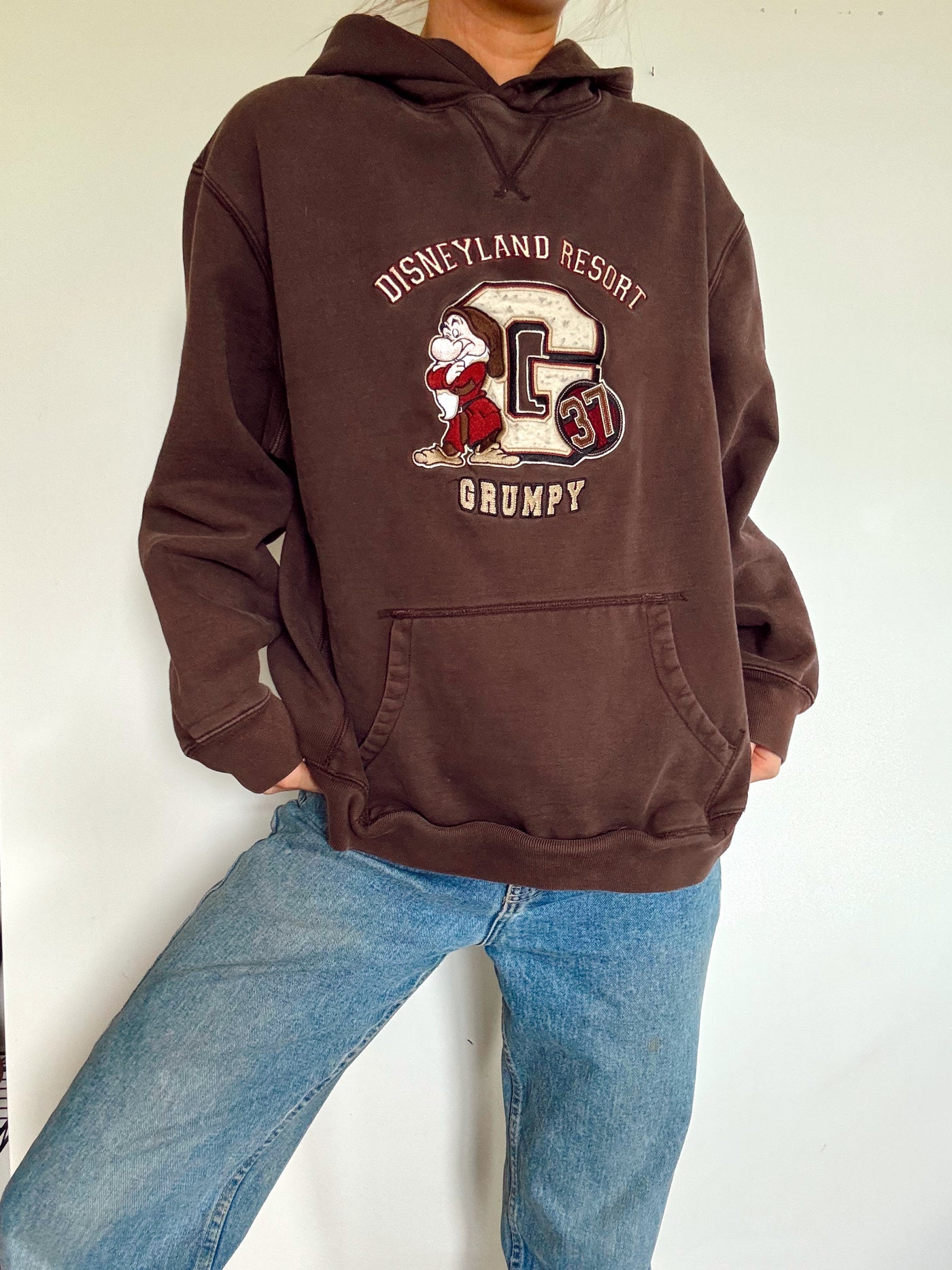 Vintage Disneyland Grumpy chocolate brown neutral hoodie