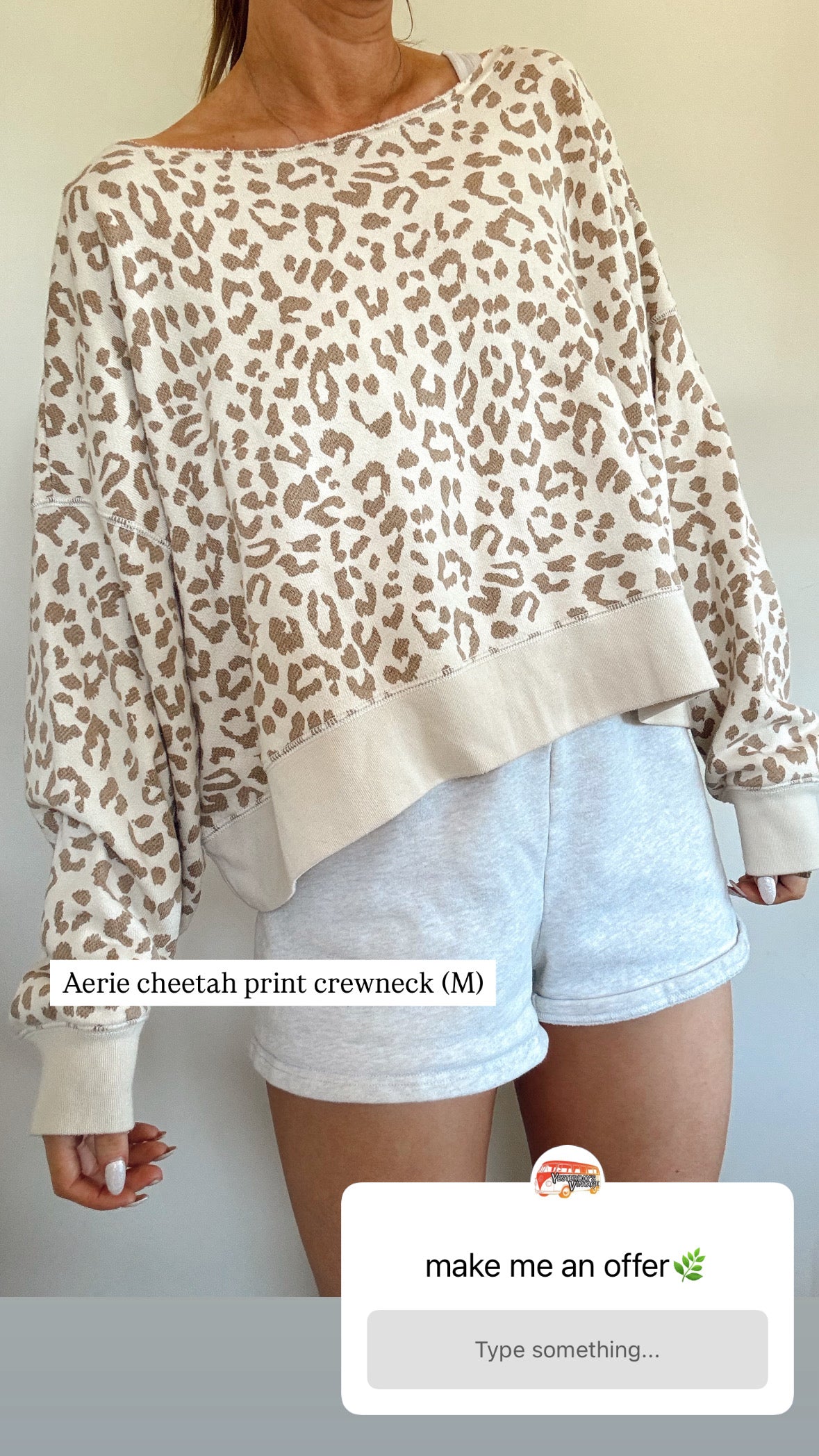 Aerie cheetah print crewneck
