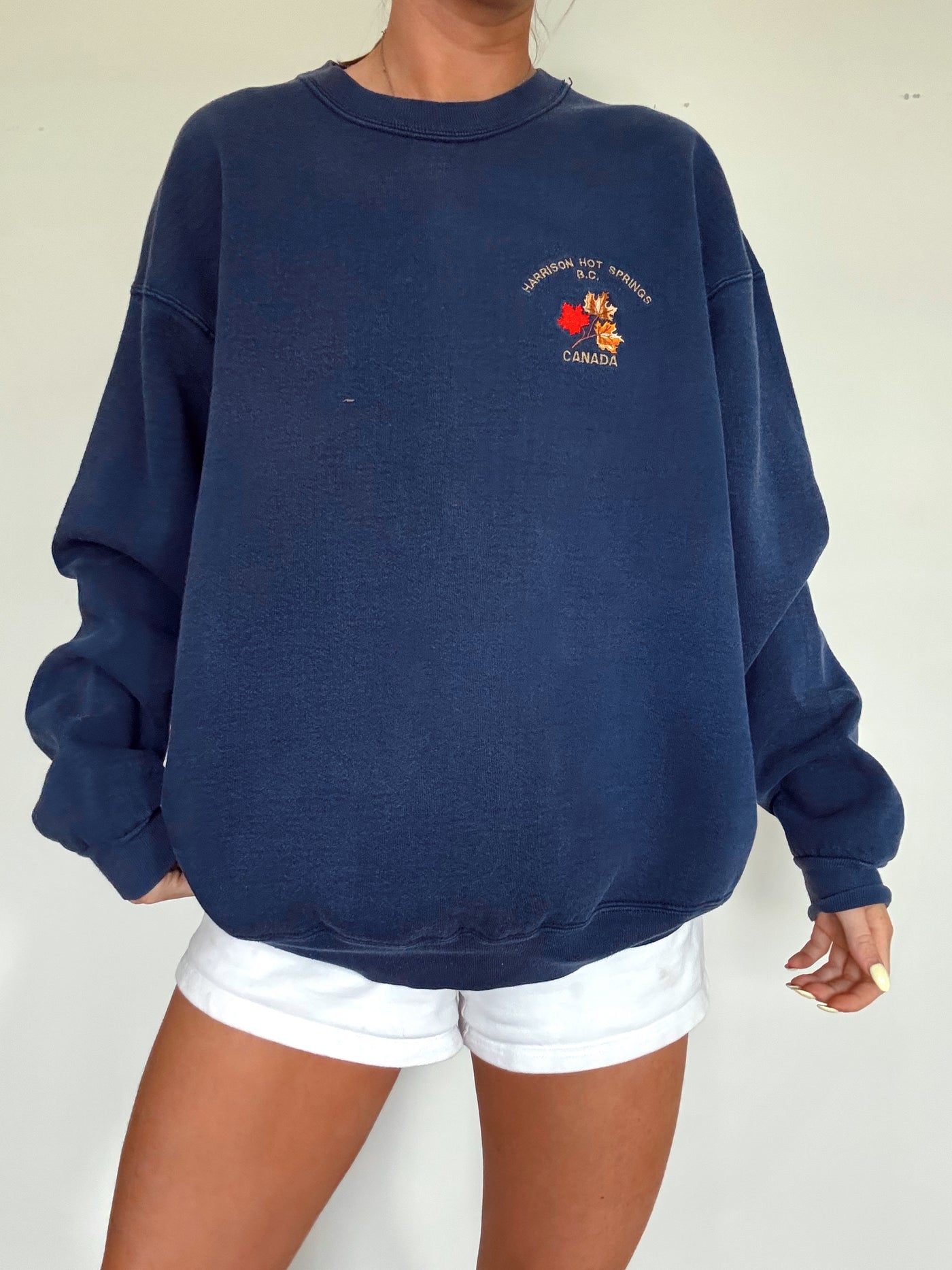 Vintage Harrison hot spring Canada leaf heavy weight crewneck