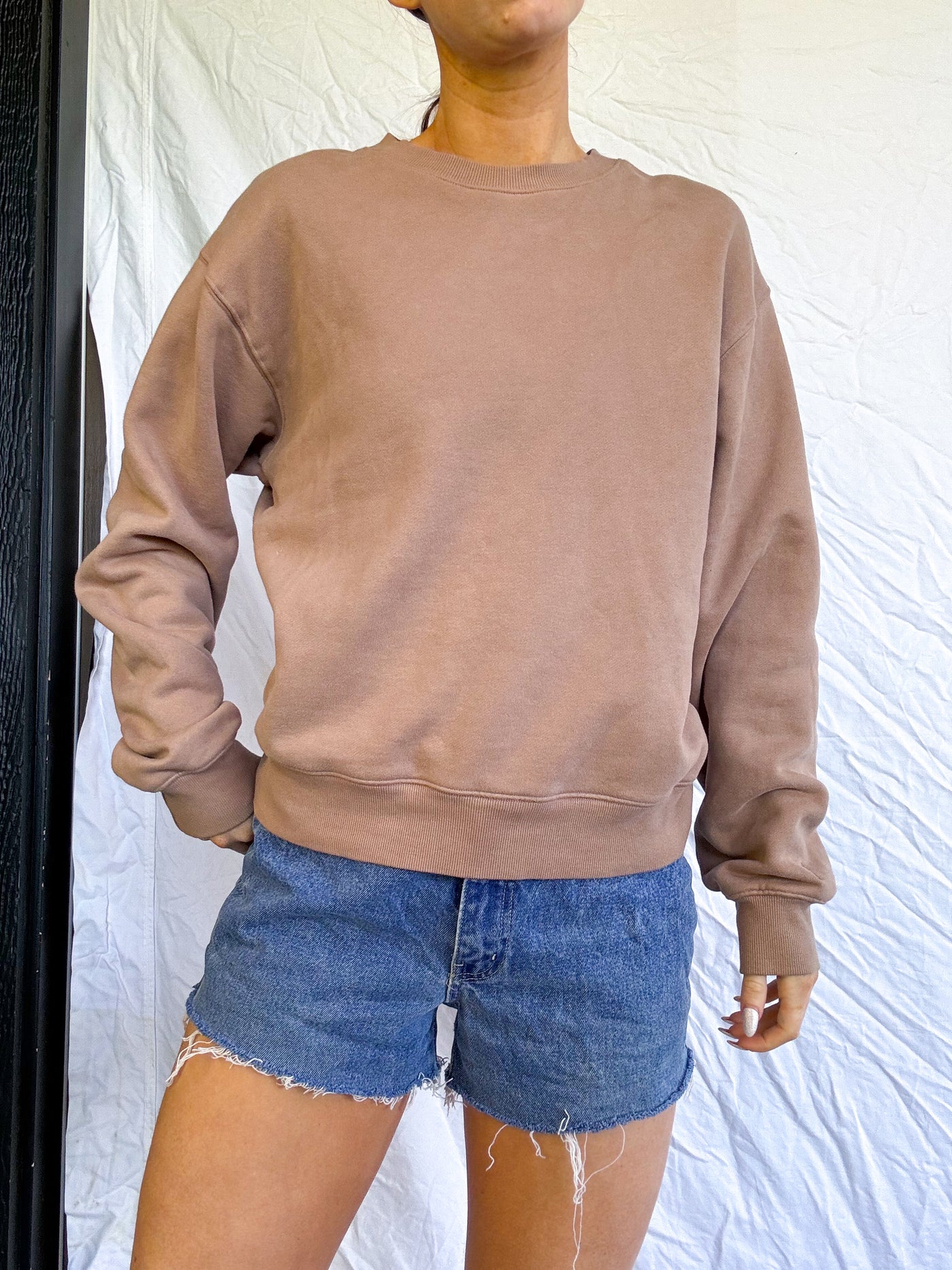 TNA Aritzia walnut brown cozy fleece perfect crewneck