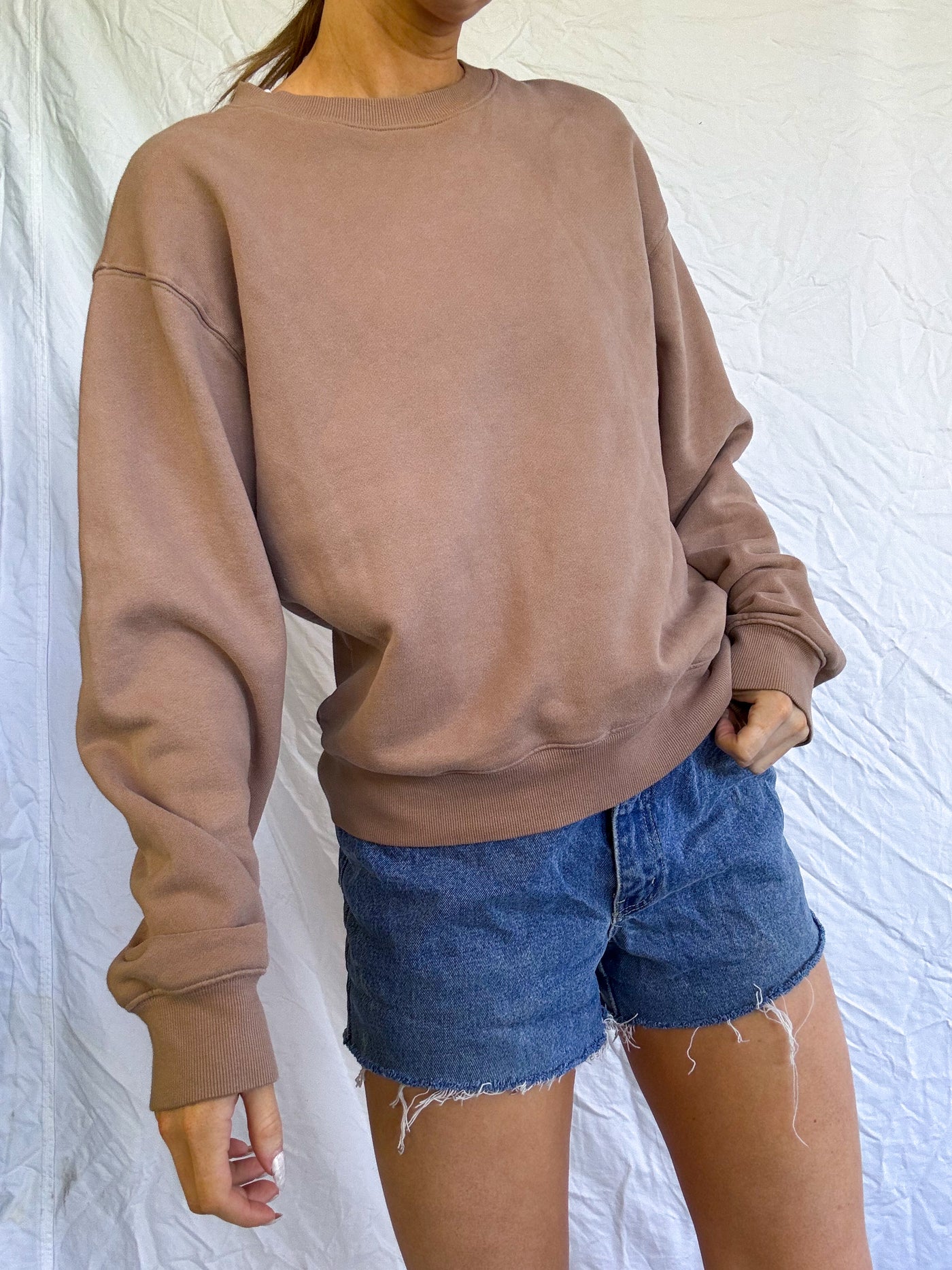 TNA Aritzia walnut brown cozy fleece perfect crewneck