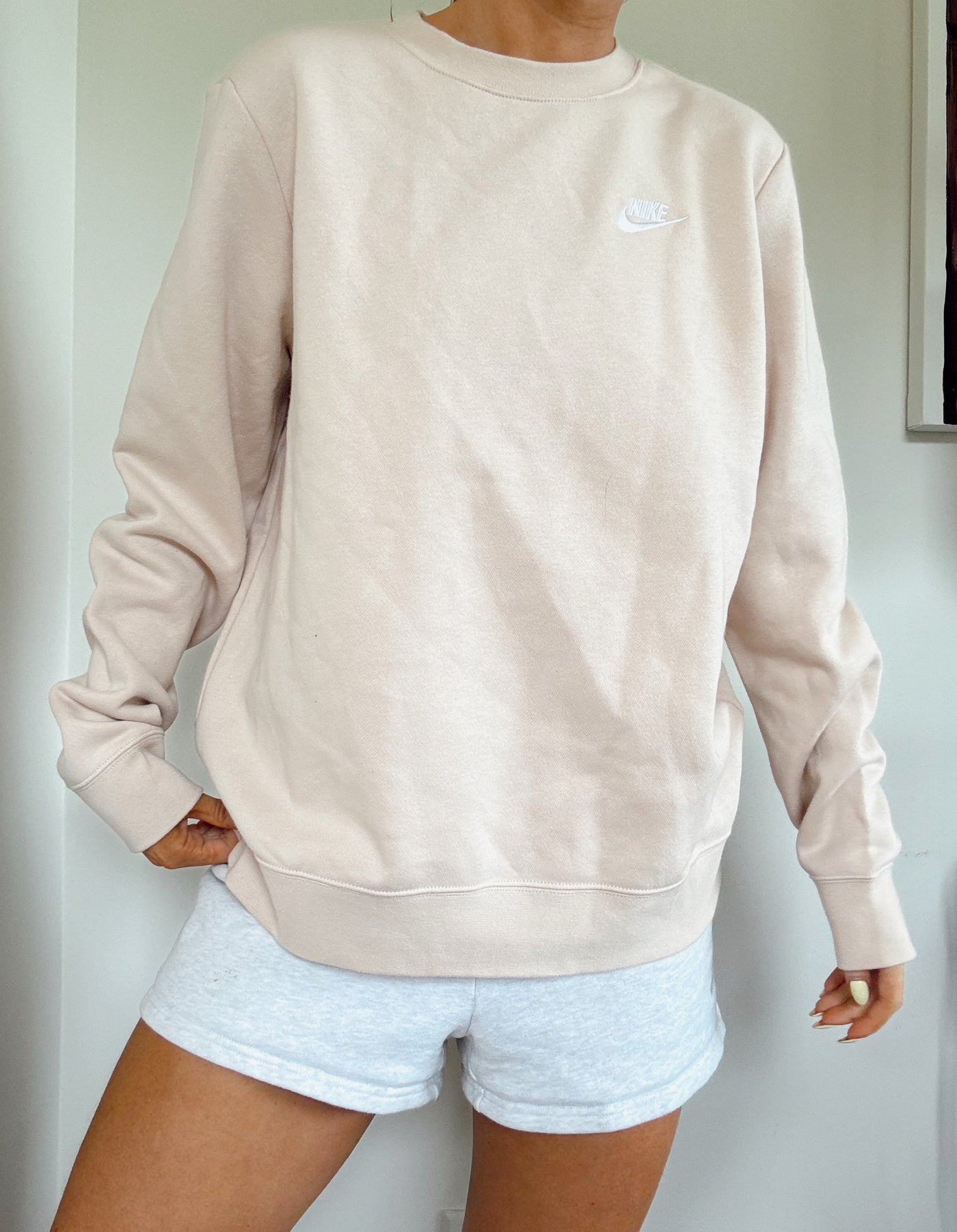 Nike neutral Sb club crewneck