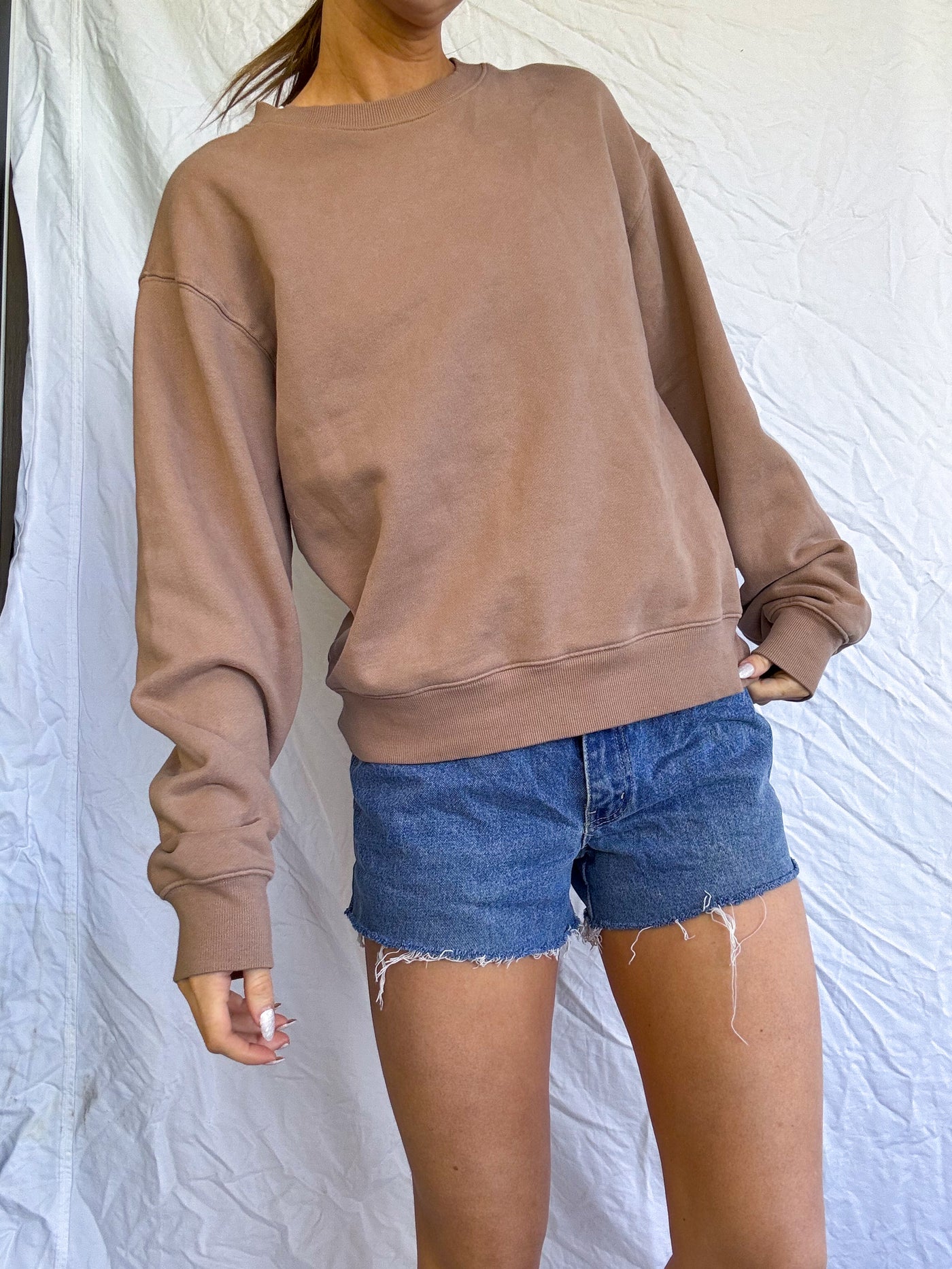 TNA Aritzia walnut brown cozy fleece perfect crewneck